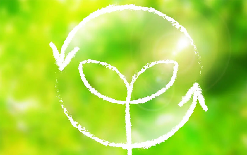 割り箸こそ地球に優しいリサイクル商品