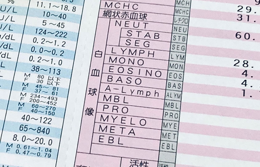 おうちでドックの価格を徹底調査